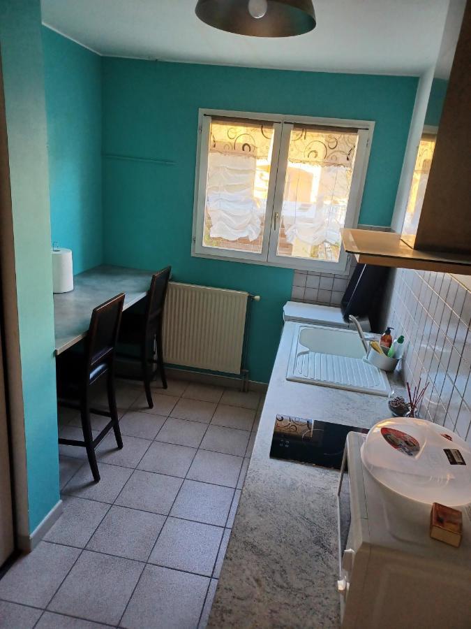 Ferienwohnung Dynamique Et Splendide Bourgoin-Jallieu Exterior foto